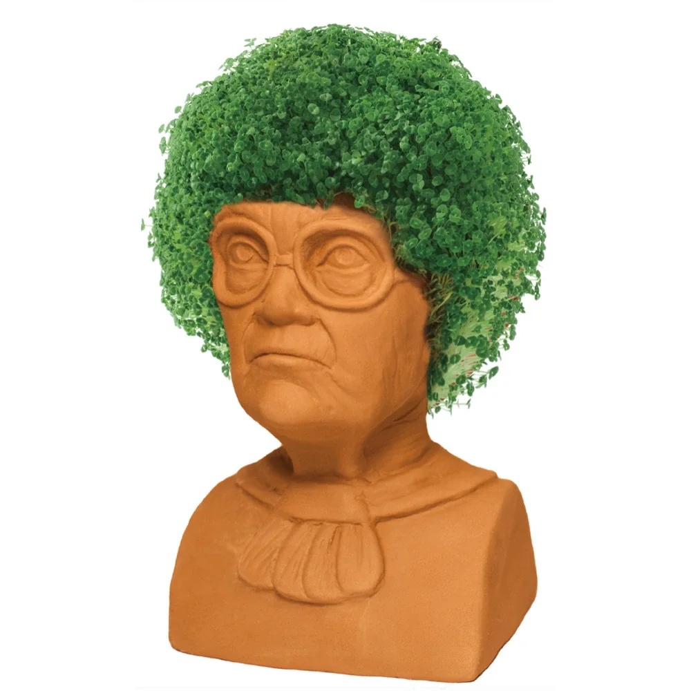 Chia Pet Golden Girls SOPHIA Decorative Planter Handmade Pottery Easy Grow NIB!!